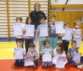 Taekwondo klinci 2014.