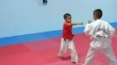 Taekwondo klinci