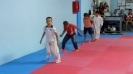 Taekwondo klinci 2015.