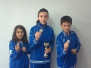 Fojnica Open 2013.