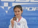 Bistra Open 2015.