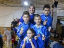 Brinje Open 2015.