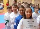 Cigra Open Zagreb 2015.