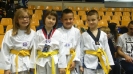 Otvoreno prvenstvo Federacije Sarajevo 2015.