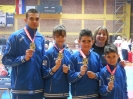 Plemeniti turnir Zapresica 2015.