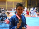 Plemeniti turnir Zapresica 2015.